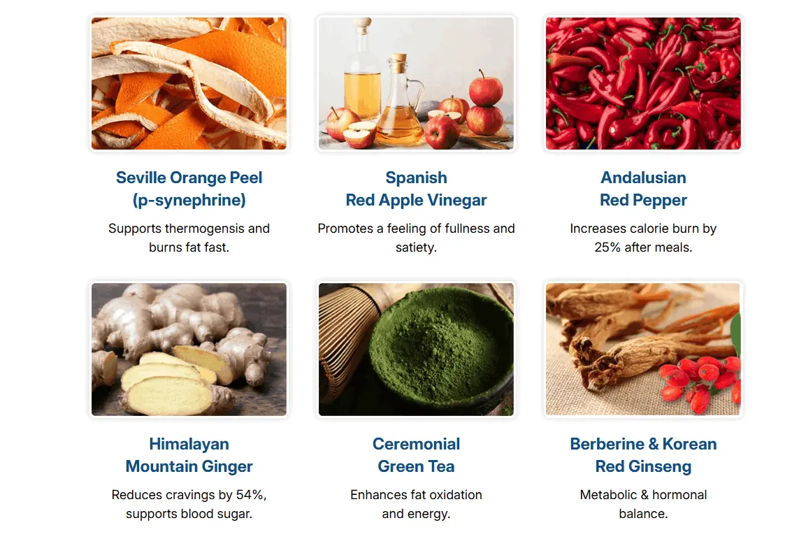 Citrus Burn ingredients